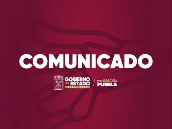 SEDIF fortalece acciones contra el maltrato animal en la entidad